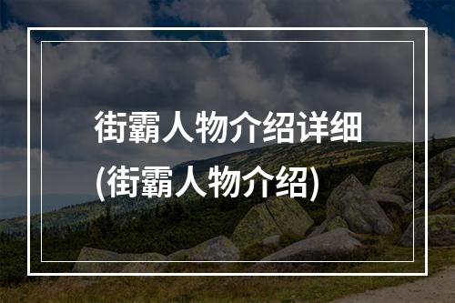 街霸人物介绍详细(街霸人物介绍)