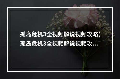 孤岛危机3全视频解说视频攻略(孤岛危机3全视频解说视频攻略)