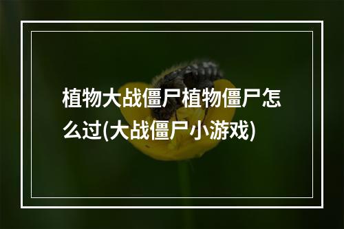 植物大战僵尸植物僵尸怎么过(大战僵尸小游戏)