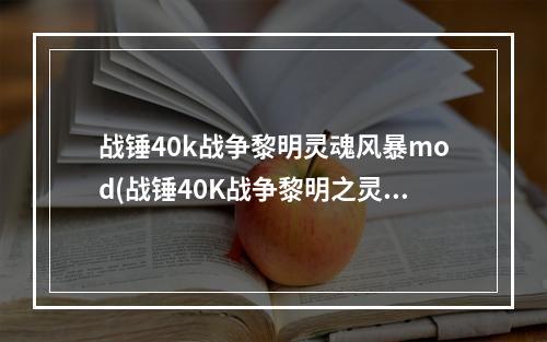 战锤40k战争黎明灵魂风暴mod(战锤40K战争黎明之灵魂风暴 战斗修女全兵种中英图文)