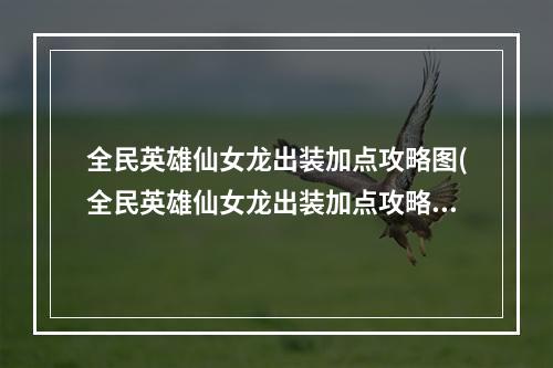 全民英雄仙女龙出装加点攻略图(全民英雄仙女龙出装加点攻略 )