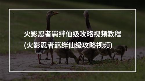 火影忍者羁绊仙级攻略视频教程(火影忍者羁绊仙级攻略视频)