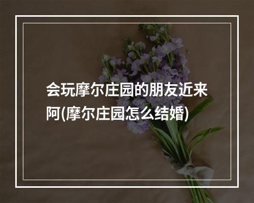 会玩摩尔庄园的朋友近来阿(摩尔庄园怎么结婚)