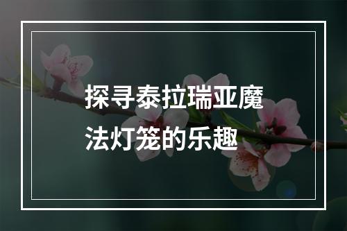 探寻泰拉瑞亚魔法灯笼的乐趣