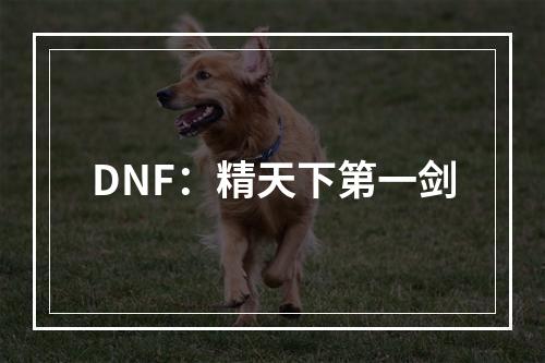 DNF：精天下第一剑