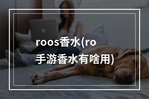 roos香水(ro手游香水有啥用)