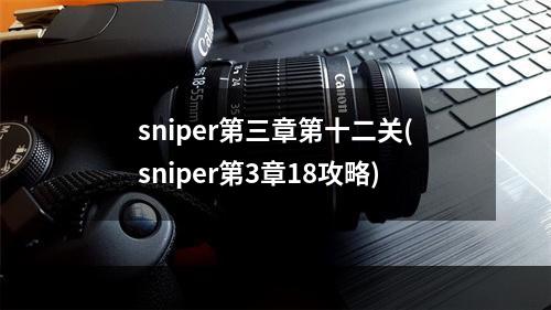 sniper第三章第十二关(sniper第3章18攻略)