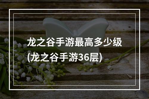 龙之谷手游最高多少级(龙之谷手游36层)