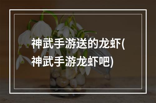 神武手游送的龙虾(神武手游龙虾吧)