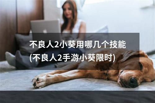 不良人2小葵用哪几个技能(不良人2手游小葵限时)