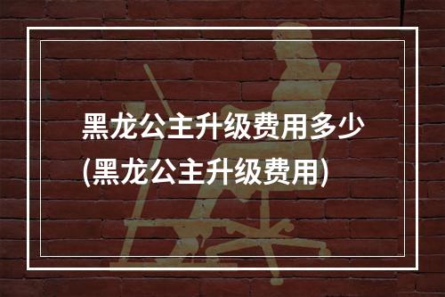 黑龙公主升级费用多少(黑龙公主升级费用)