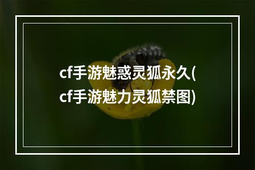 cf手游魅惑灵狐永久(cf手游魅力灵狐禁图)