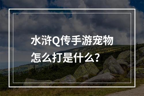 水浒Q传手游宠物怎么打是什么？