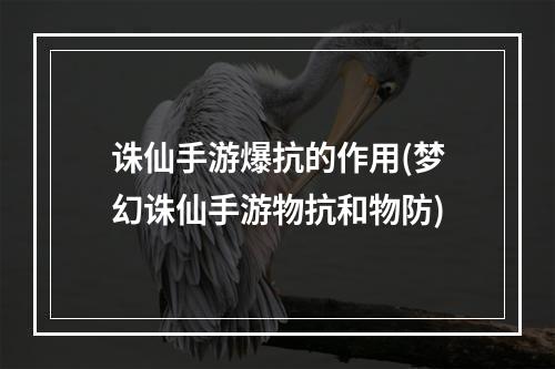 诛仙手游爆抗的作用(梦幻诛仙手游物抗和物防)