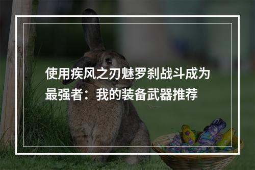 使用疾风之刃魅罗刹战斗成为最强者：我的装备武器推荐