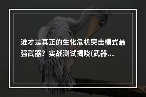 谁才是真正的生化危机突击模式最强武器？实战测试揭晓(武器分析)