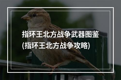 指环王北方战争武器图鉴(指环王北方战争攻略)