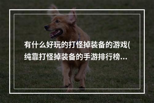 有什么好玩的打怪掉装备的游戏(纯靠打怪掉装备的手游排行榜)