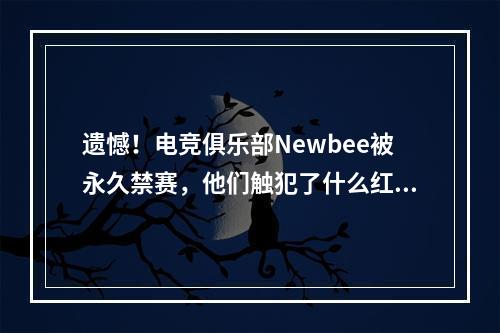 遗憾！电竞俱乐部Newbee被永久禁赛，他们触犯了什么红线？(dota2假赛)