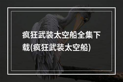 疯狂武装太空船全集下载(疯狂武装太空船)