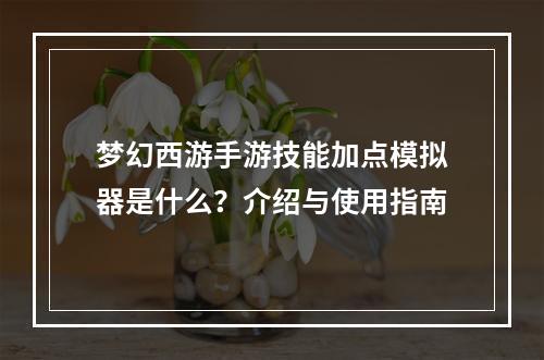 梦幻西游手游技能加点模拟器是什么？介绍与使用指南