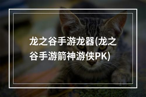 龙之谷手游龙器(龙之谷手游箭神游侠PK)