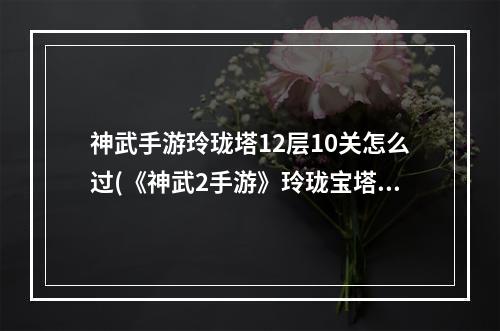 神武手游玲珑塔12层10关怎么过(《神武2手游》玲珑宝塔 二十八星宿 三十六天罡玩法)