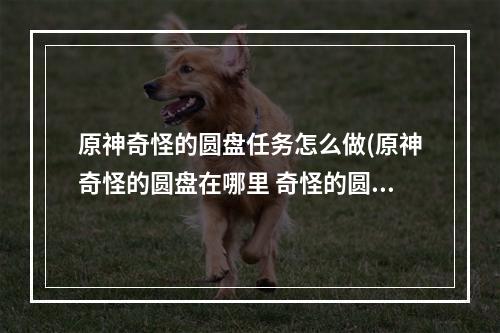 原神奇怪的圆盘任务怎么做(原神奇怪的圆盘在哪里 奇怪的圆盘任务攻略 原神  )