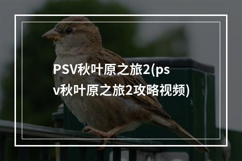 PSV秋叶原之旅2(psv秋叶原之旅2攻略视频)