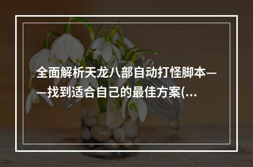 全面解析天龙八部自动打怪脚本——找到适合自己的最佳方案(天龙八部自动打怪技巧大揭秘——让你轻松刷怪升级)