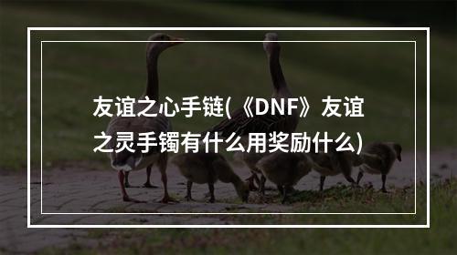 友谊之心手链(《DNF》友谊之灵手镯有什么用奖励什么)