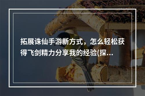 拓展诛仙手游新方式，怎么轻松获得飞剑精力分享我的经验(探究诛仙手游中的飞行系统)