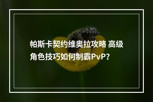 帕斯卡契约维奥拉攻略 高级角色技巧如何制霸PvP？