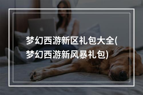 梦幻西游新区礼包大全(梦幻西游新风暴礼包)