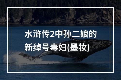 水浒传2中孙二娘的新绰号毒妇(墨妆)