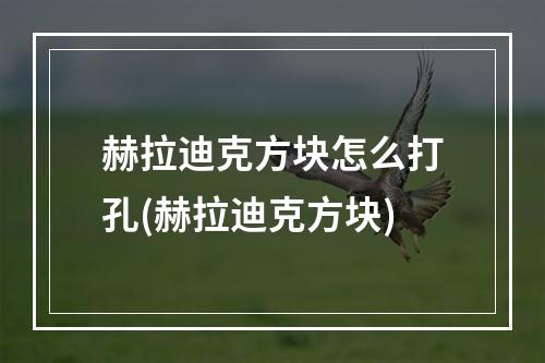 赫拉迪克方块怎么打孔(赫拉迪克方块)