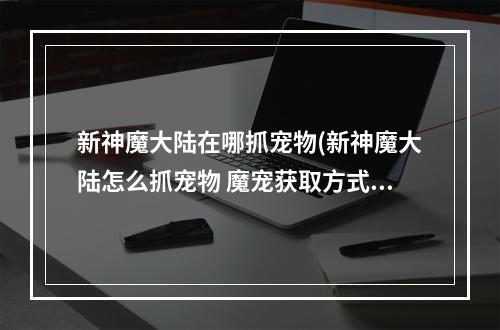 新神魔大陆在哪抓宠物(新神魔大陆怎么抓宠物 魔宠获取方式)