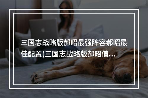 三国志战略版郝昭最强阵容郝昭最佳配置(三国志战略版郝昭值得培养吗最新郝昭阵容搭配大全)