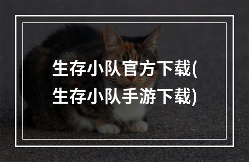 生存小队官方下载(生存小队手游下载)