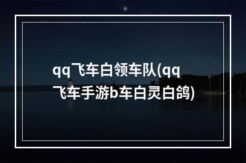 qq飞车白领车队(qq飞车手游b车白灵白鸽)