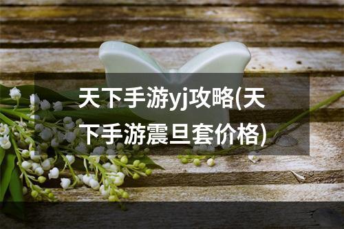 天下手游yj攻略(天下手游震旦套价格)