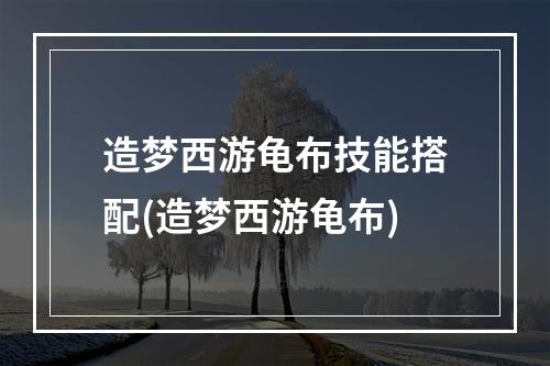 造梦西游龟布技能搭配(造梦西游龟布)