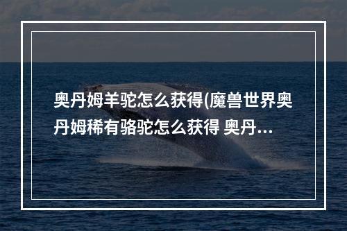 奥丹姆羊驼怎么获得(魔兽世界奥丹姆稀有骆驼怎么获得 奥丹姆稀有骆驼获取方法)