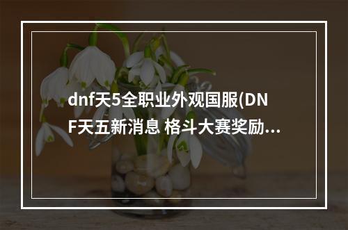 dnf天5全职业外观国服(DNF天五新消息 格斗大赛奖励更新天五新配色)