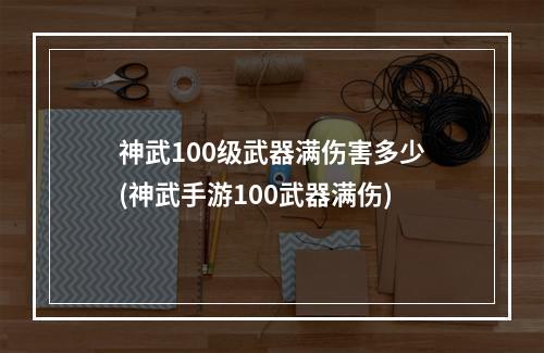 神武100级武器满伤害多少(神武手游100武器满伤)