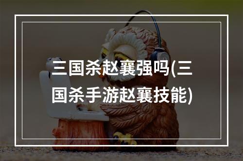 三国杀赵襄强吗(三国杀手游赵襄技能)