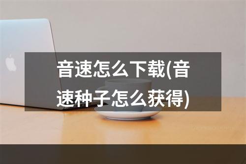 音速怎么下载(音速种子怎么获得)