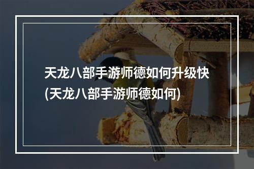 天龙八部手游师德如何升级快(天龙八部手游师德如何)