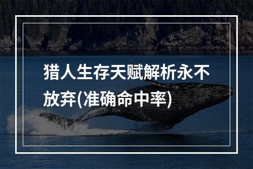 猎人生存天赋解析永不放弃(准确命中率)