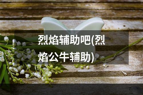 烈焰辅助吧(烈焰公牛辅助)